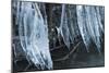 Ice Cicles Over Beaver Dam-Anthony Paladino-Mounted Giclee Print