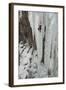 Ice Climber Ascending at Ouray Ice Park, Colorado-Howie Garber-Framed Photographic Print