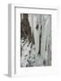 Ice Climber Ascending at Ouray Ice Park, Colorado-Howie Garber-Framed Photographic Print