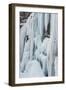 Ice Climber Ascending Stewart Falls Outside of Provo, Utah-Howie Garber-Framed Photographic Print