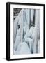 Ice Climber Ascending Stewart Falls Outside of Provo, Utah-Howie Garber-Framed Photographic Print