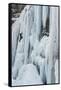 Ice Climber Ascending Stewart Falls Outside of Provo, Utah-Howie Garber-Framed Stretched Canvas