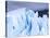 Ice Climber on Glacier-Leieng-Stretched Canvas