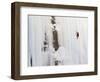 Ice Climber on Weeping Wall Above the Icefields Parkway, Banff National Park, Alberta, Canada-Don Grall-Framed Photographic Print