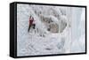 Ice Climbers Scaling Vertical Ice in Ouray Ice Park Near Ouray, Colorado-Sergio Ballivian-Framed Stretched Canvas