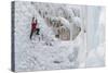 Ice Climbers Scaling Vertical Ice in Ouray Ice Park Near Ouray, Colorado-Sergio Ballivian-Stretched Canvas