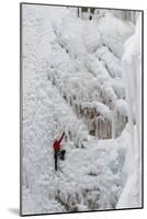 Ice Climbers Scaling Vertical Ice in Ouray Ice Park Near Ouray, Colorado-Sergio Ballivian-Mounted Photographic Print