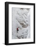 Ice Climbers Scaling Vertical Ice in Ouray Ice Park Near Ouray, Colorado-Sergio Ballivian-Framed Photographic Print