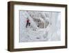 Ice Climbers Scaling Vertical Ice in Ouray Ice Park Near Ouray, Colorado-Sergio Ballivian-Framed Photographic Print