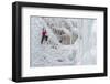 Ice Climbers Scaling Vertical Ice in Ouray Ice Park Near Ouray, Colorado-Sergio Ballivian-Framed Photographic Print