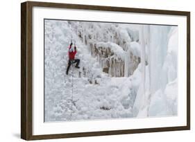 Ice Climbers Scaling Vertical Ice in Ouray Ice Park Near Ouray, Colorado-Sergio Ballivian-Framed Photographic Print