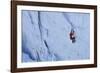 Ice Climbing in the Bernes Oberland, Swiss Alps-Robert Boesch-Framed Premium Photographic Print