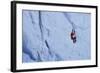 Ice Climbing in the Bernes Oberland, Swiss Alps-Robert Boesch-Framed Photographic Print