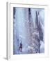 Ice Climbing, Ouray, Colorado, USA-Lee Kopfler-Framed Premium Photographic Print