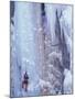 Ice Climbing, Ouray, Colorado, USA-Lee Kopfler-Mounted Premium Photographic Print