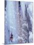 Ice Climbing, Ouray, Colorado, USA-Lee Kopfler-Mounted Premium Photographic Print