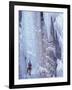 Ice Climbing, Ouray, Colorado, USA-Lee Kopfler-Framed Photographic Print