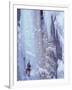 Ice Climbing, Ouray, Colorado, USA-Lee Kopfler-Framed Photographic Print