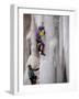 Ice Climbing, Ouray, Colorado, USA-Lee Kopfler-Framed Photographic Print