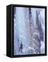 Ice Climbing, Ouray, Colorado, USA-Lee Kopfler-Framed Stretched Canvas