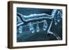 Ice Clinging On Branch In Creek-Anthony Paladino-Framed Giclee Print