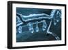 Ice Clinging On Branch In Creek-Anthony Paladino-Framed Giclee Print