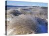 Ice Coats the Beach Grass on Parson's Beach, Maine, USA-Jerry & Marcy Monkman-Stretched Canvas