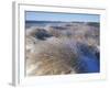 Ice Coats the Beach Grass on Parson's Beach, Maine, USA-Jerry & Marcy Monkman-Framed Photographic Print