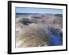 Ice Coats the Beach Grass on Parson's Beach, Maine, USA-Jerry & Marcy Monkman-Framed Photographic Print