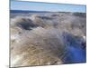 Ice Coats the Beach Grass on Parson's Beach, Maine, USA-Jerry & Marcy Monkman-Mounted Photographic Print