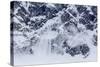 Ice Cornice Avalanche at Neko Harbor-Michael Nolan-Stretched Canvas
