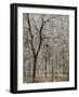 Ice covered forest, George Washington National Forest, Virginia, USA-Charles Gurche-Framed Photographic Print