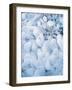 Ice Covered Grasses-Steve Terrill-Framed Photographic Print