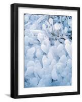 Ice Covered Grasses-Steve Terrill-Framed Photographic Print