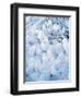 Ice Covered Grasses-Steve Terrill-Framed Photographic Print