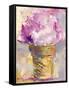 Ice Cream Cone-Richard Wallich-Framed Stretched Canvas