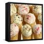 Ice Cream Cones with Different Kinds of Ice Cream-Dave King-Framed Stretched Canvas