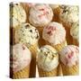 Ice Cream Cones with Different Kinds of Ice Cream-Dave King-Stretched Canvas