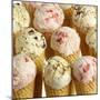 Ice Cream Cones with Different Kinds of Ice Cream-Dave King-Mounted Photographic Print