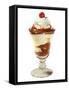 Ice Cream Sundae-null-Framed Stretched Canvas