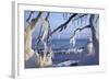 Ice-Crusted Trees in Front of the Brodten Shore Near TravemŸnde, Morning Light-Uwe Steffens-Framed Photographic Print