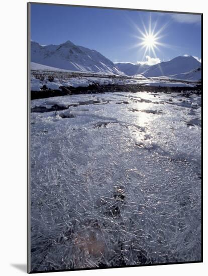 Ice-Crystals of a Creek in Brooks Range, Alaska, USA-Hugh Rose-Mounted Photographic Print