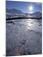 Ice-Crystals of a Creek in Brooks Range, Alaska, USA-Hugh Rose-Mounted Photographic Print