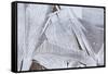 Ice Crystals over Creek-Craig Tuttle-Framed Stretched Canvas