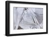 Ice Crystals over Creek-Craig Tuttle-Framed Photographic Print