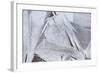 Ice Crystals over Creek-Craig Tuttle-Framed Photographic Print