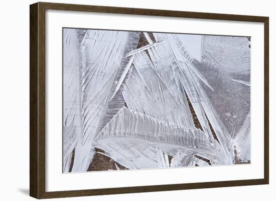 Ice Crystals over Creek-Craig Tuttle-Framed Photographic Print