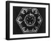 Ice Crystals-null-Framed Photographic Print