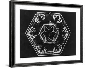 Ice Crystals-null-Framed Photographic Print