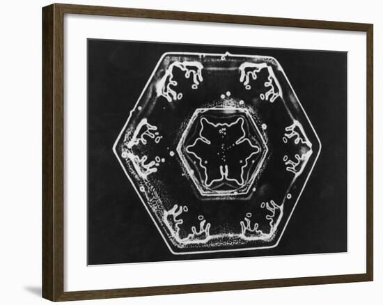 Ice Crystals-null-Framed Photographic Print
